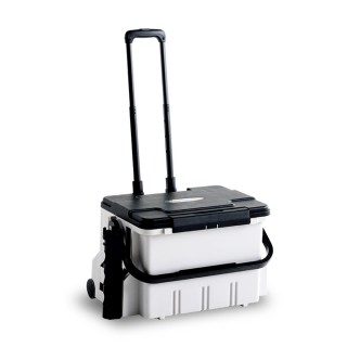 피닉스 멀티캐리어